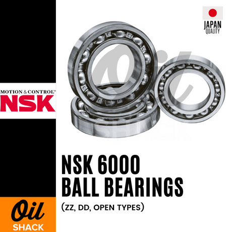 NSK 6000 Ball Bearings | ZZ, DD, OPEN Types