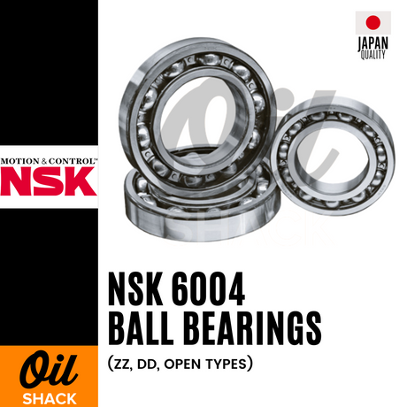 NSK 6004 Ball Bearings | ZZ, DD, OPEN Types